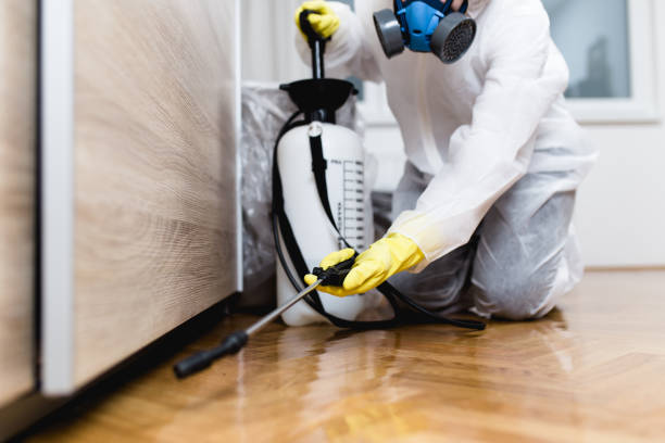  Rush City, MN Pest Control Pros