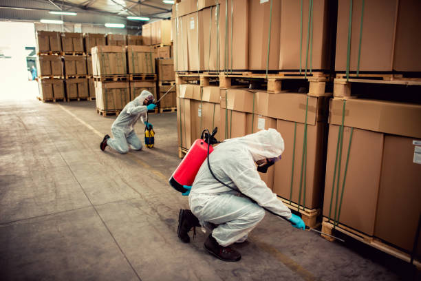 Pest Control Cost in Rush City, MN