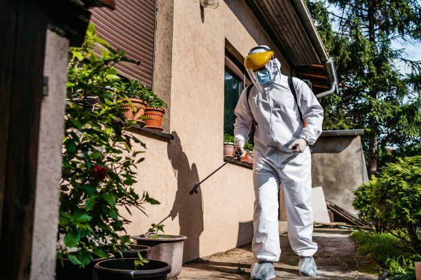 Best Rat Extermination Near Me  in Rush City, MN