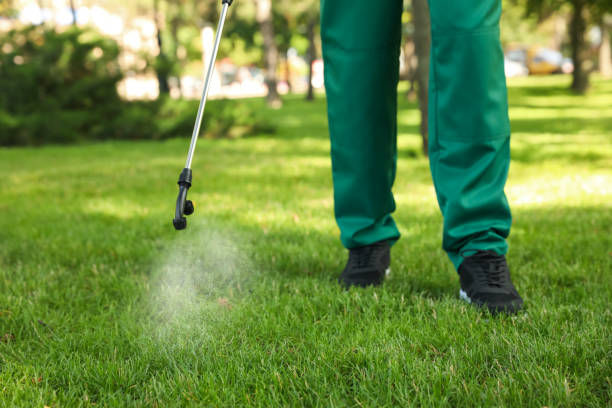 Best Pest Prevention Services  in Rush City, MN