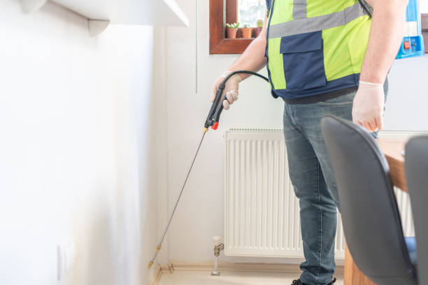 Best Best Pest Control Companies  in Rush City, MN