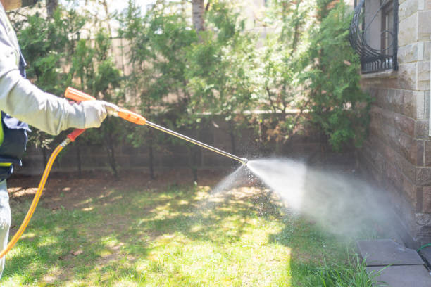 Best Pest Control for Businesses  in Rush City, MN