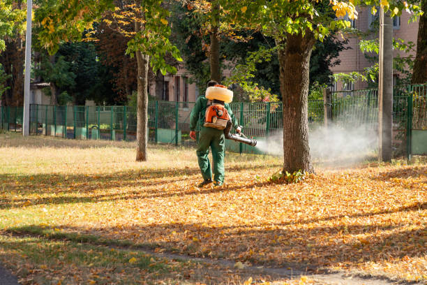 Best Wildlife Control Services  in Rush City, MN